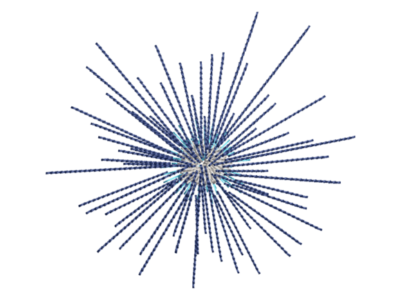 Sea Urchin Embroidery: A Designer’s Holiday Review